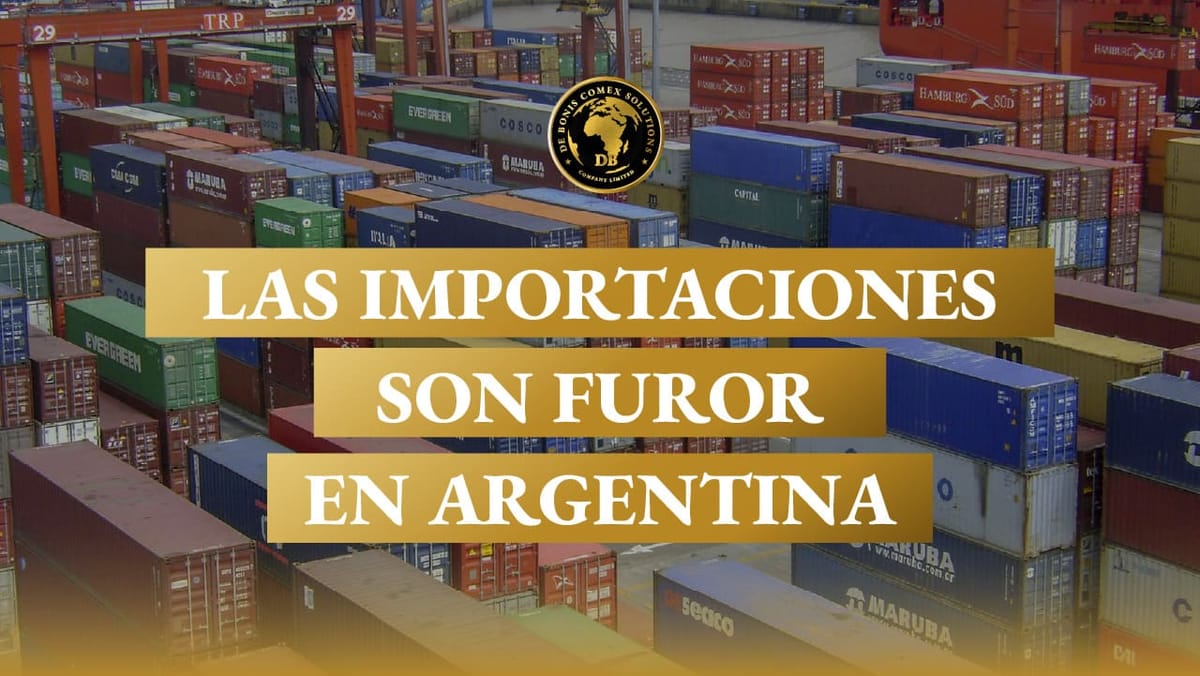 Contenedores marítimos en un puerto argentino, representando el crecimiento de las importaciones y su impacto en la logística