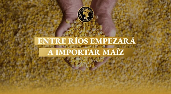 Importar maíz